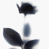 Black Rose Stem Floral Art Print